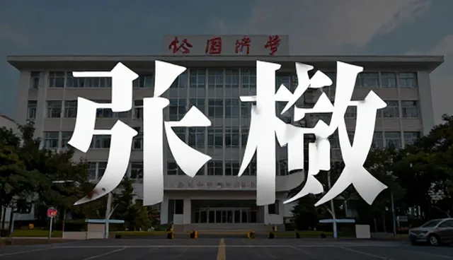 基础AI搜索优化套餐使用与维护建议